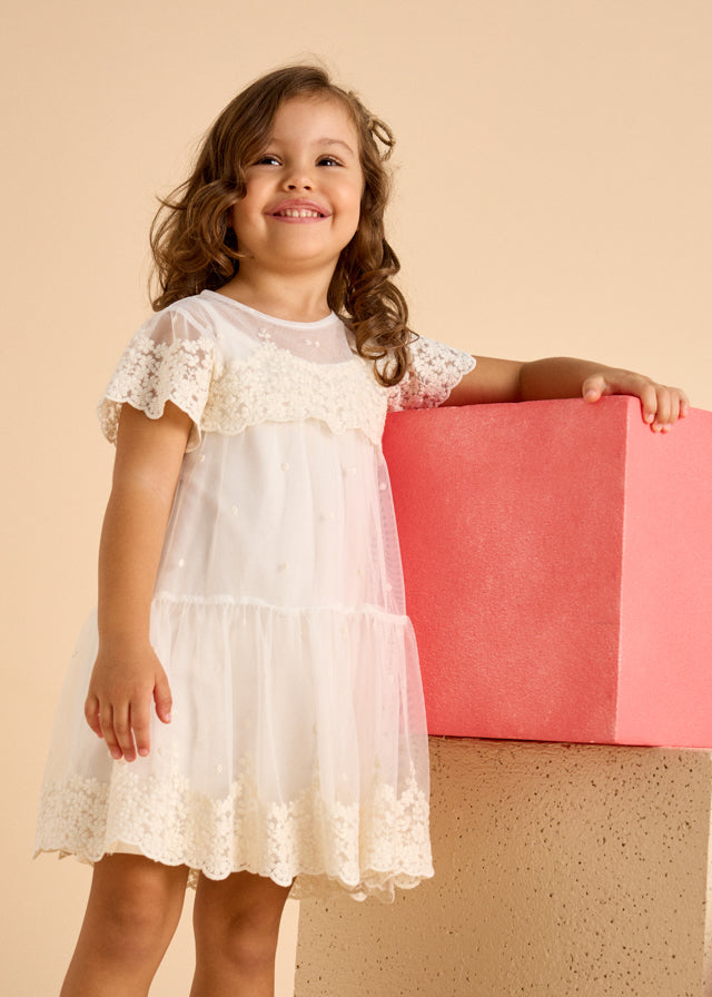Girls Embroidered Tulle Dress