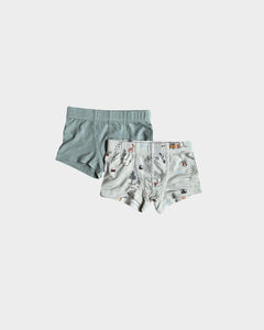 Boys Boxer Set - Camp/Pistachio