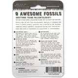 Awesome Fossils | Compact Curiosities Fossil Collection