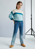 Ombre Denim Pants