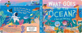 What Goes in the Ocean?