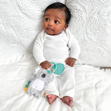 Itzy Pal™ Plush + Teether: Strawberry