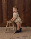 Bows, Set of 2 - Midnight