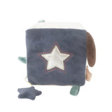 Astro Dog Activity Cube