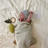 Muslin Swaddle Blanket, Organic Cotton - Lots of Colors!