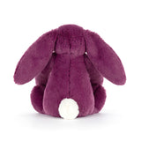 Little Bashful Allium Bunny
