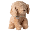 Puppy, Small - Dusty Powder