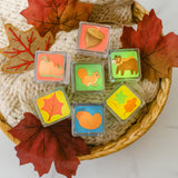 Glo Pals Limited Edition Fall Light-Up Cubes