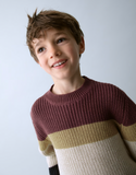 Boy's Striped Knit Sweater - Plum