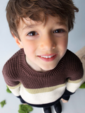 Boy's Striped Knit Sweater - Plum