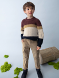 Boy's Striped Knit Sweater - Plum