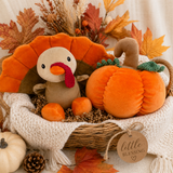 Gobbler the Turkey Plush Toy: 7"
