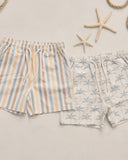 Boardshort - Valencia Stripe