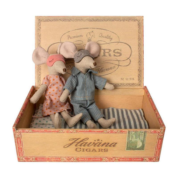 Mom and Dad Mouse in Box